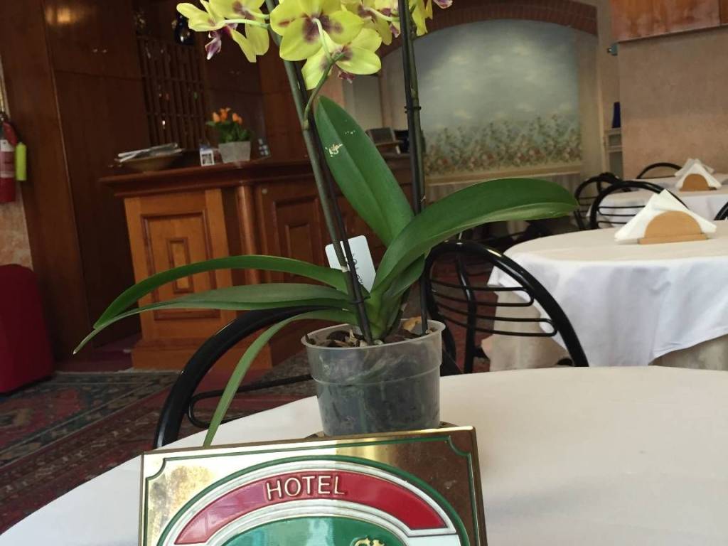 Immobile a Piacenza in Via Tibini, 4 - Foto 4