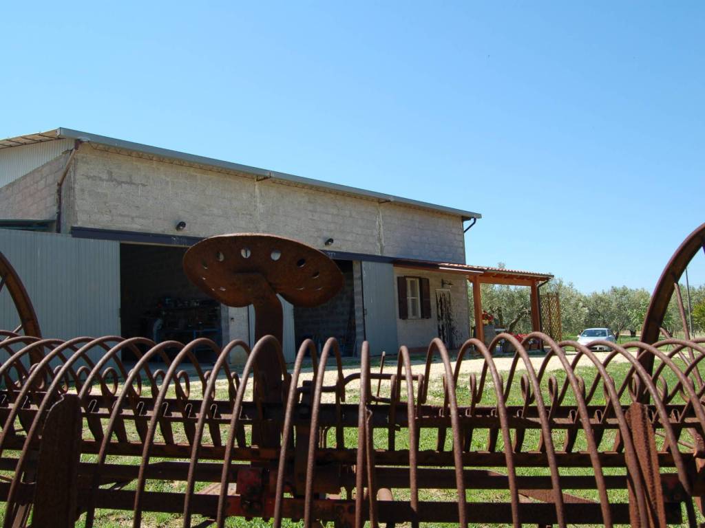 Rustico / casale a Tuscania in Strada Provinciale del Marta Montebello - Foto 4