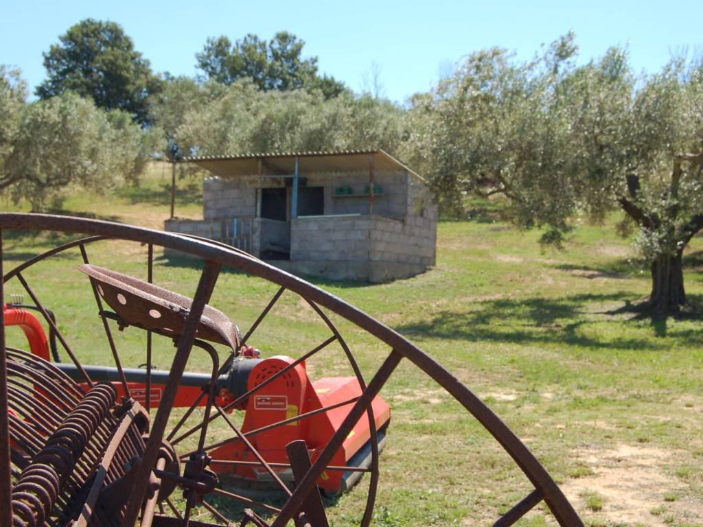 Rustico / casale a Tuscania in Strada Provinciale del Marta Montebello - Foto 5