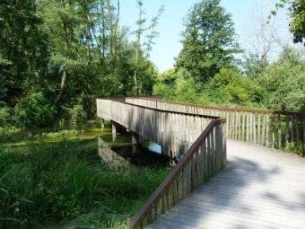 Terreno a Quinto di treviso in via Zago - Foto 4
