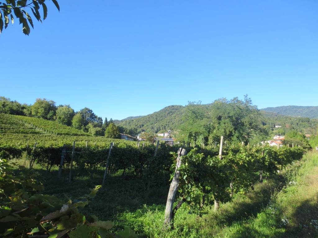 Terreno a Faedis in Via Candeo - Foto 2