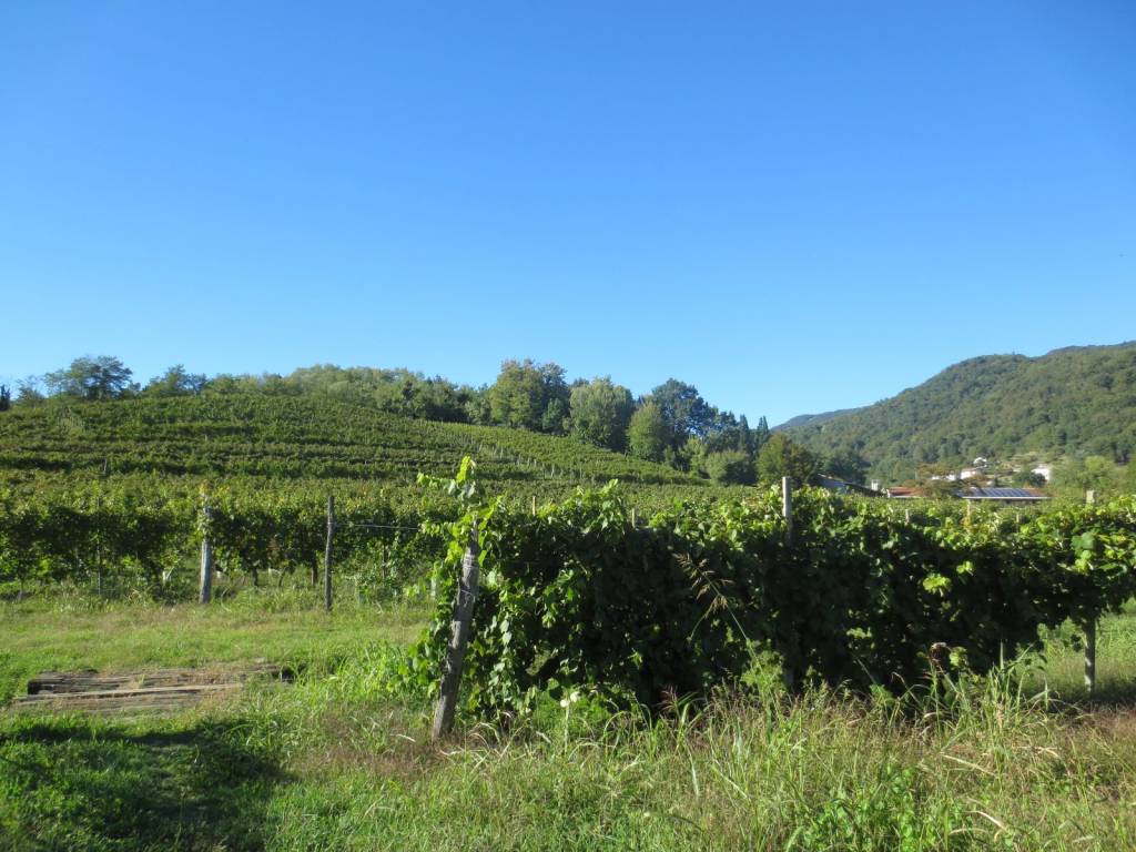 Terreno a Faedis in Via Candeo - Foto 3