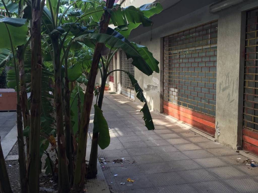Immobile a Cefalù in Piazza Dottor Franco Bellipanni - Foto 4