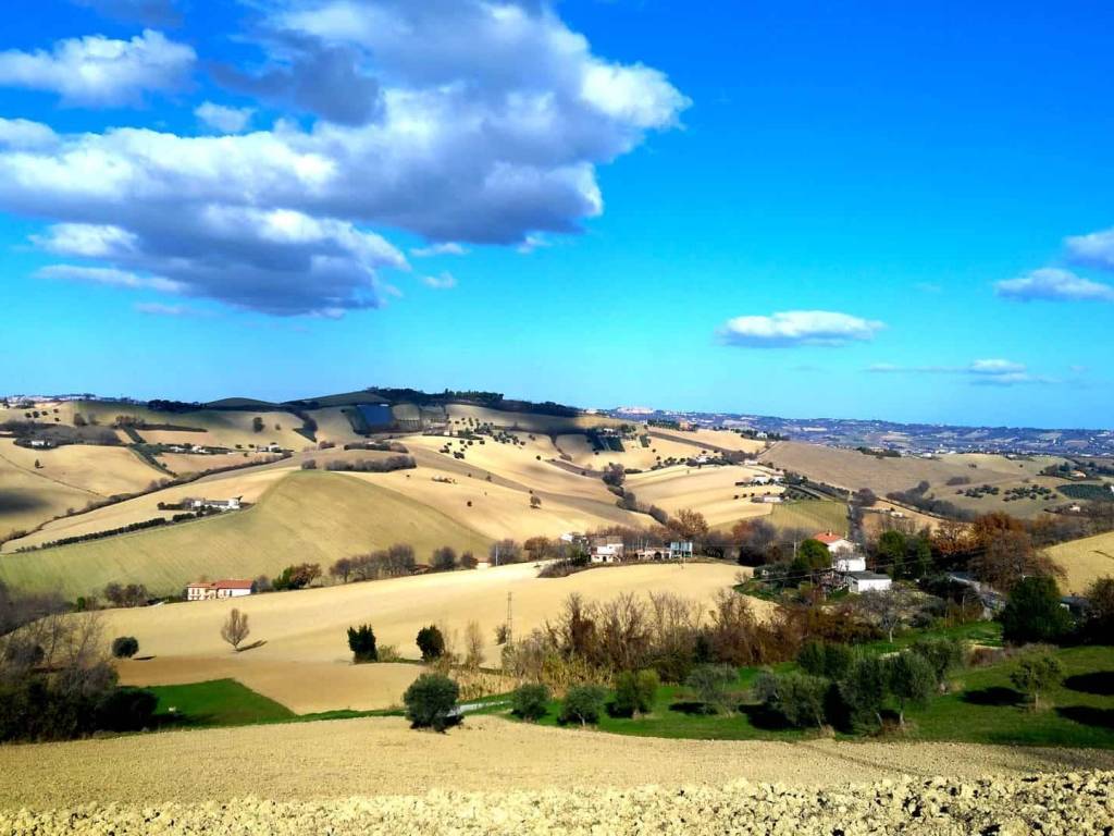 Terreno a Montegranaro - Foto 3