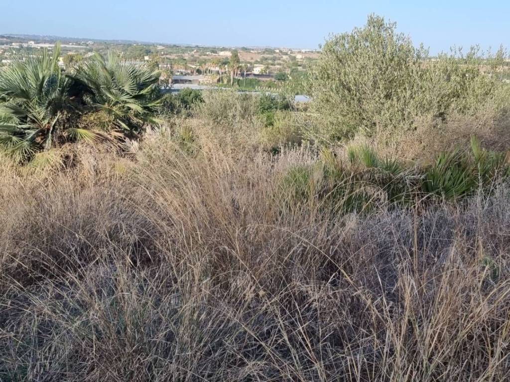 Terreno a Scicli - Foto 4