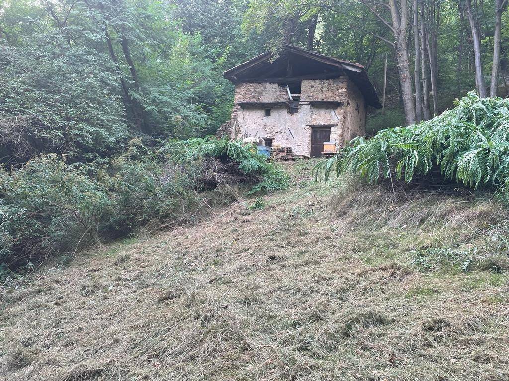 Rustico / casale a Sagliano micca in Via Bernardino Ferrari - Foto 5