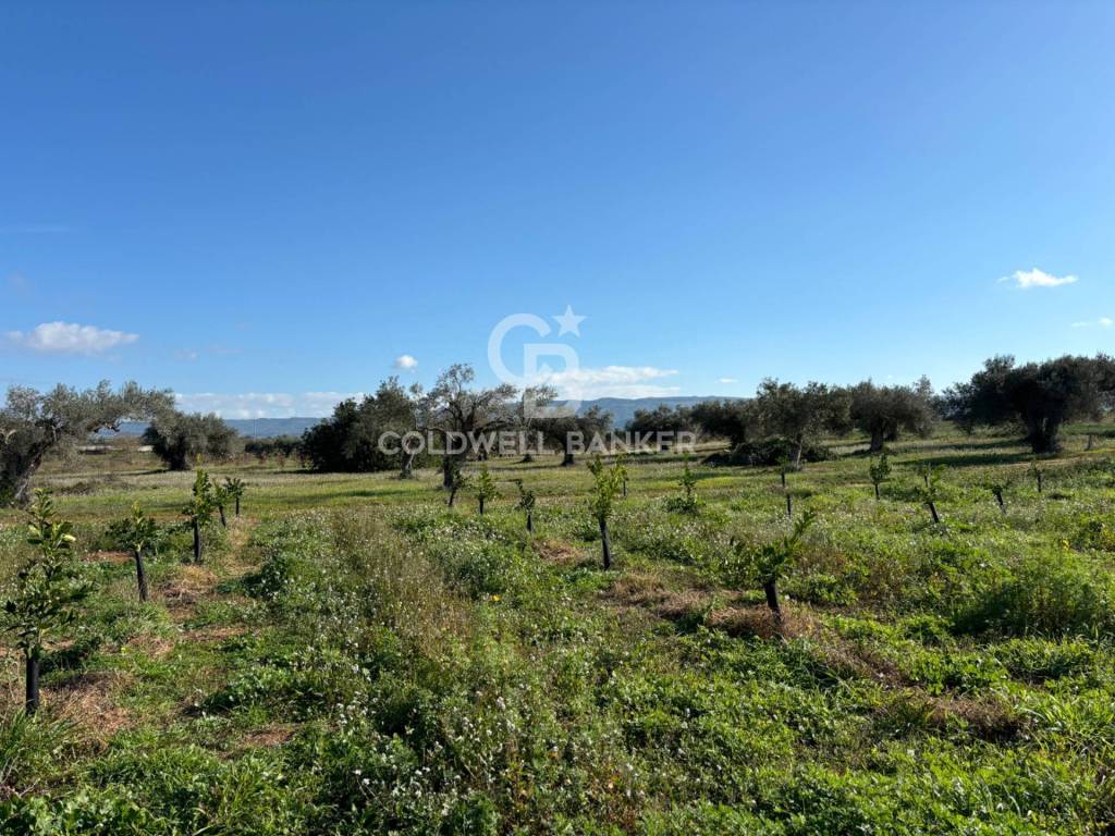 Rustico / casale a Chiaramonte gulfi in Contrada Mortilla - Foto 4