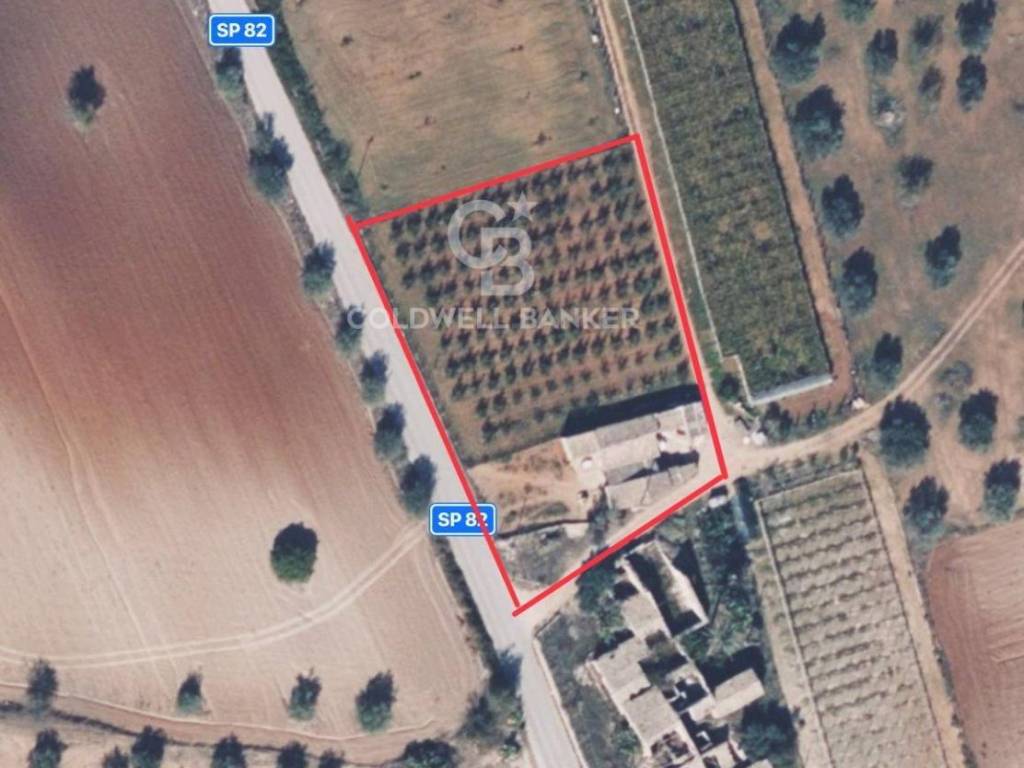 Rustico / casale a Chiaramonte gulfi in Contrada Mortilla - Foto 5