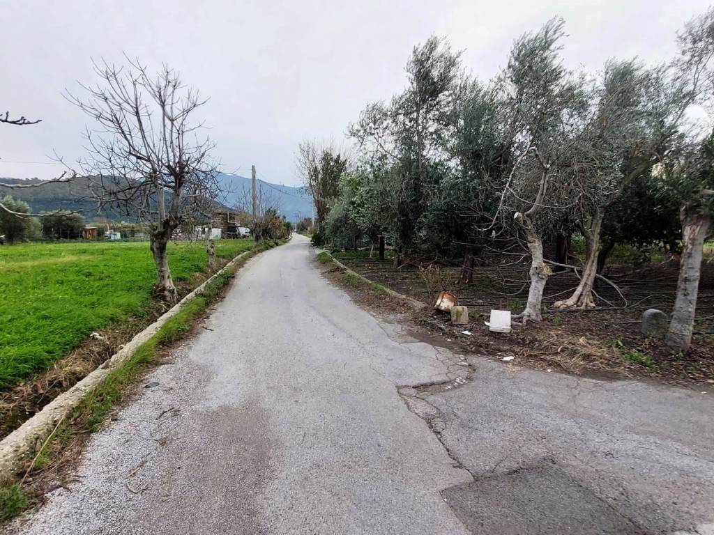 Terreno a Nocera inferiore - Foto 5