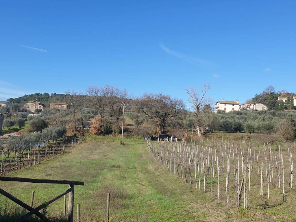 Casa indipendente a Orvieto - Foto 3