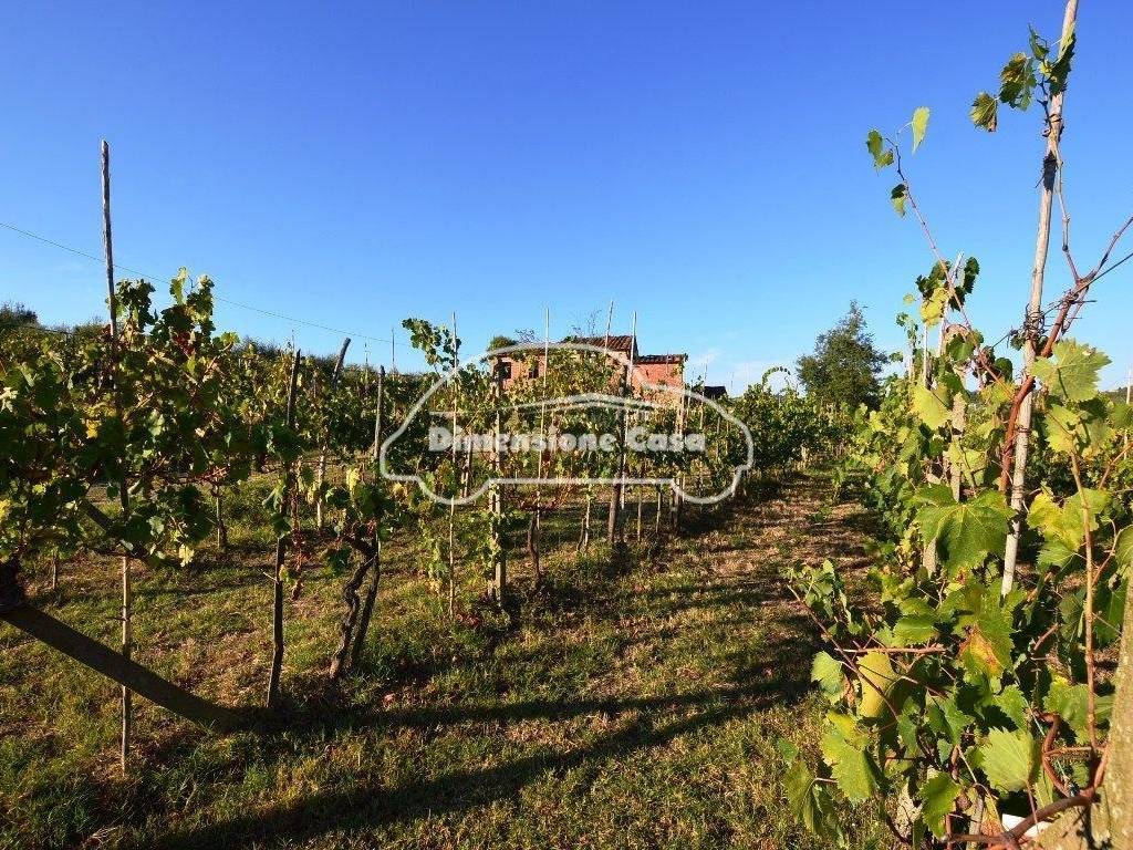 Rustico / casale a Montecarlo in Via Cercatoia Alta, , 55015 - Foto 2