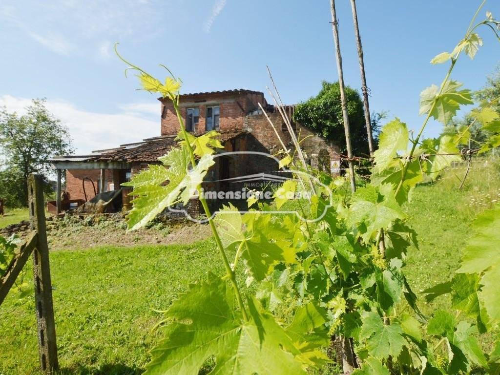 Rustico / casale a Montecarlo in Via Cercatoia Alta, , 55015 - Foto 3