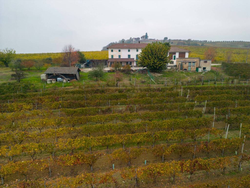 Terreno a Costigliole d'asti in Strada Monia 1 - Foto 5