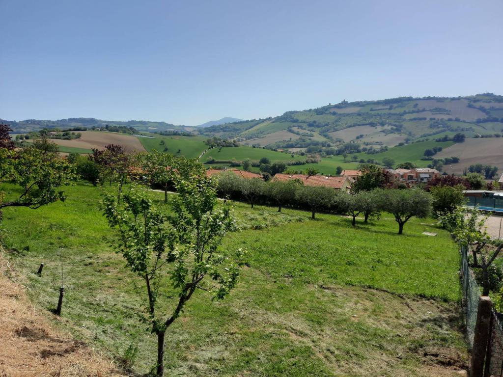 Terreno a Polverigi - Foto 2