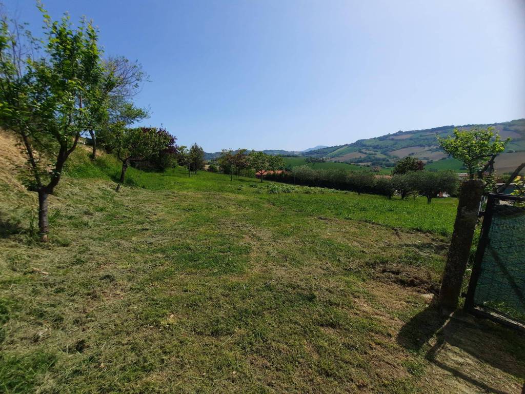 Terreno a Polverigi - Foto 4