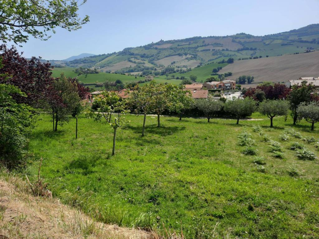 Terreno a Polverigi - Foto 5