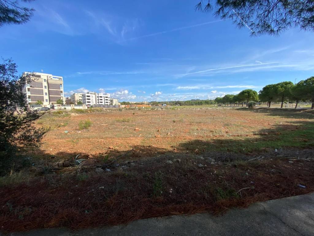 Terreno a Grottaglie in Strada Comunale Paparazio - Foto 4