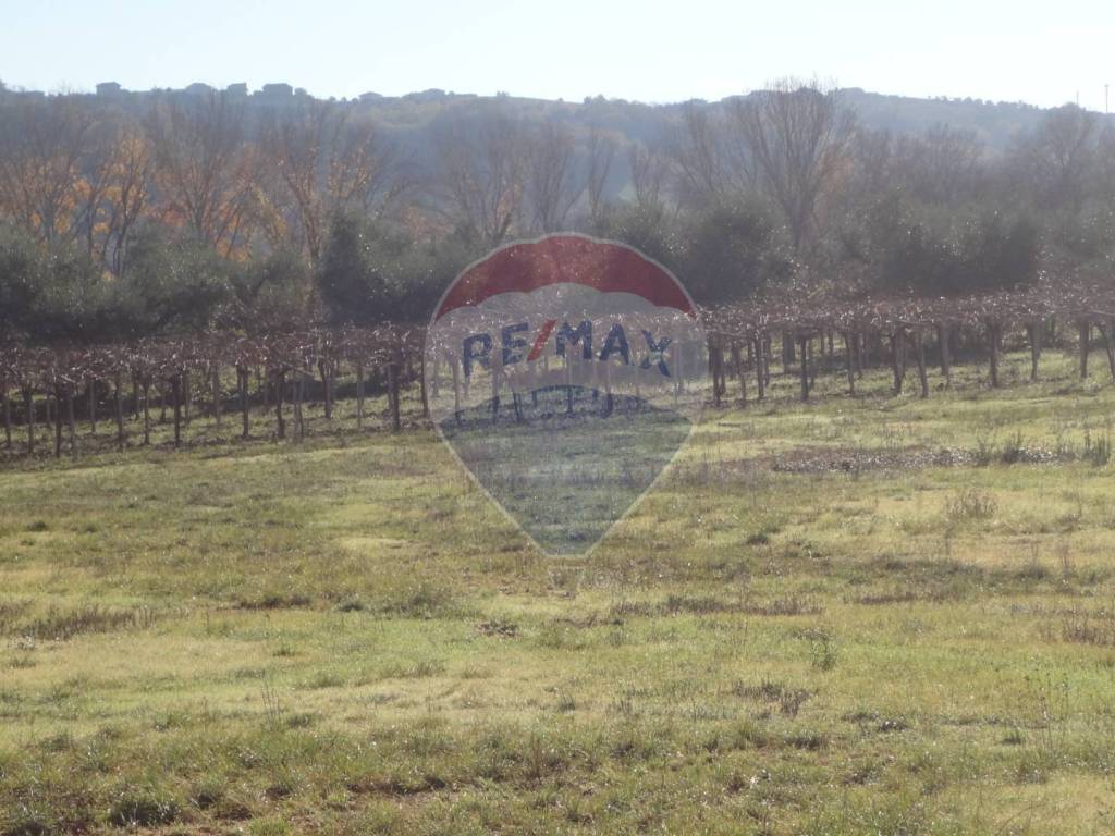 Terreno a Miglianico in CONTRADA CERRETO, 332 - Foto 3