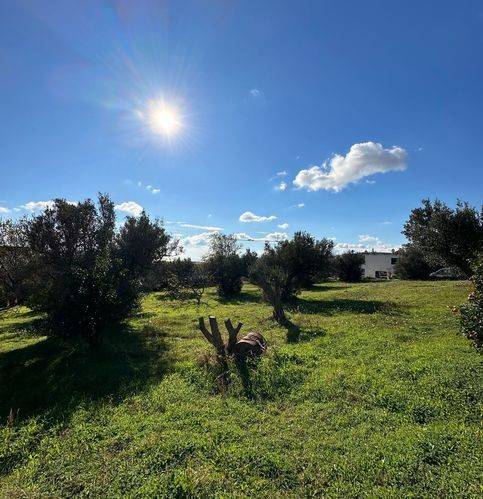 Terreno a Catanzaro in Via della Pineta - Foto 4