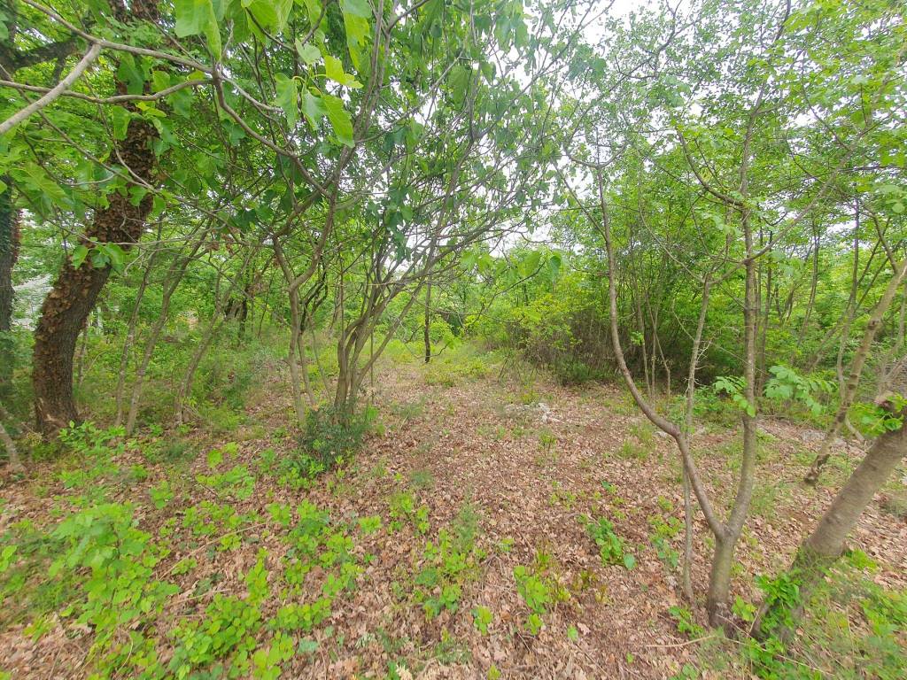 Terreno a Sagrado in Località San Martino del Carso - Foto 1