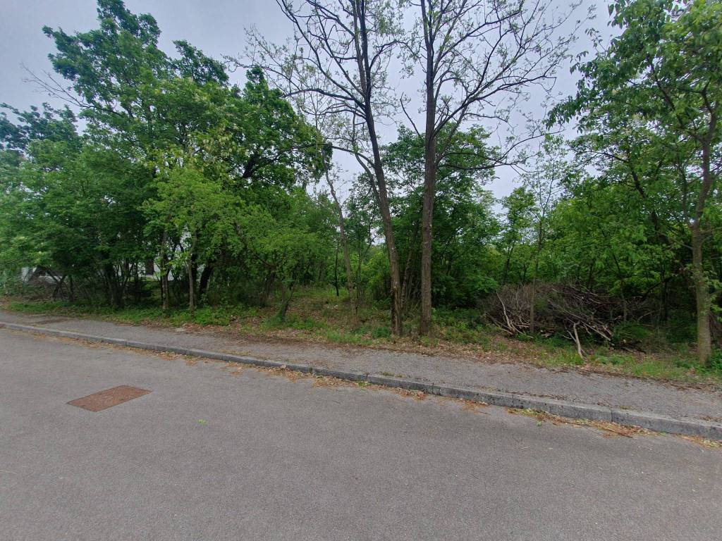 Terreno a Sagrado in Località San Martino del Carso - Foto 4