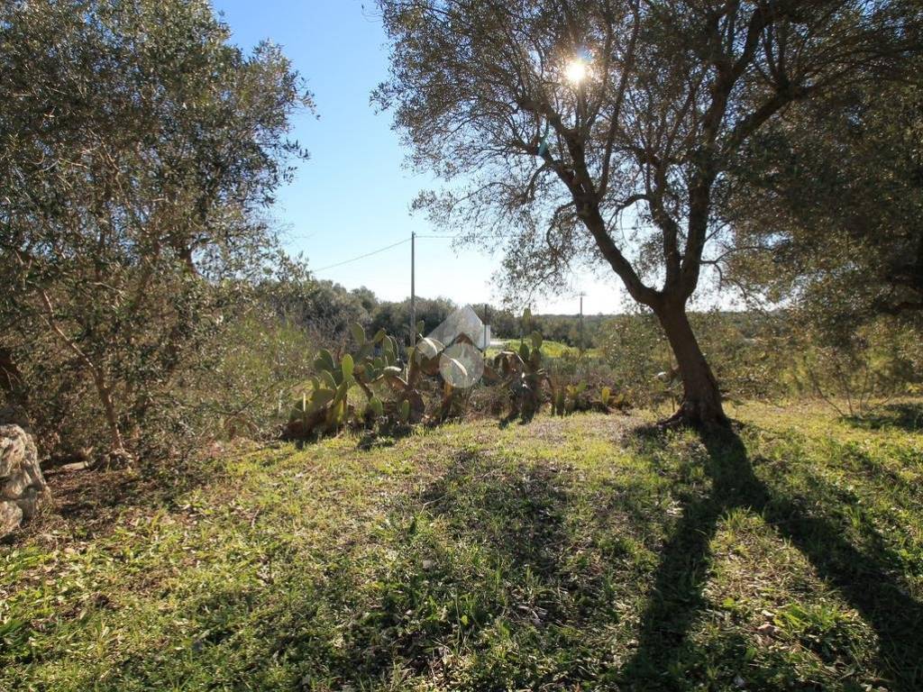 Rustico / casale a Ostuni - Foto 2