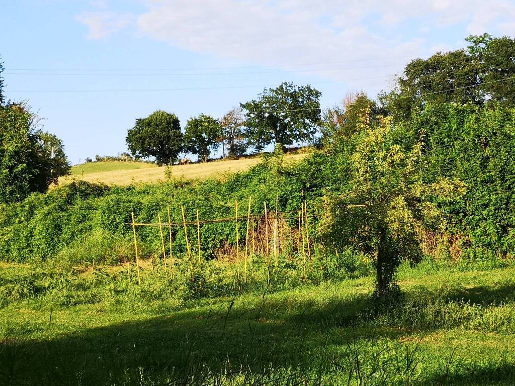 Terreno a Agugliano in Contrada Acquasanta - Foto 4