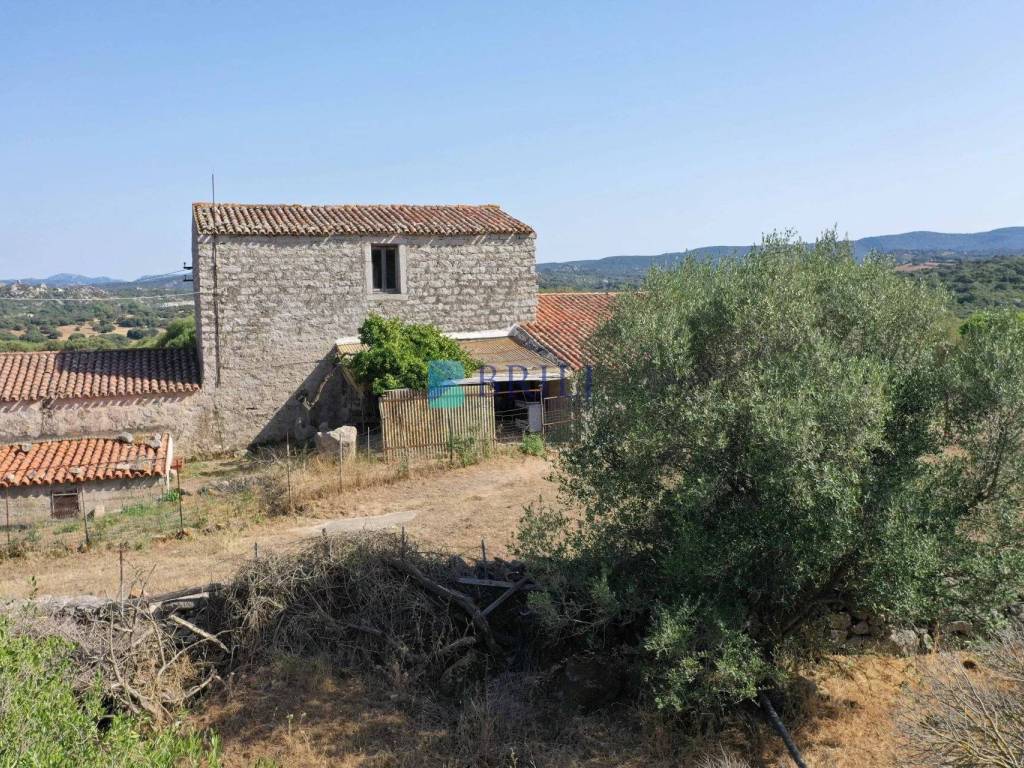 Immobile a Luogosanto in LOCALITA' ALIASA - Foto 5