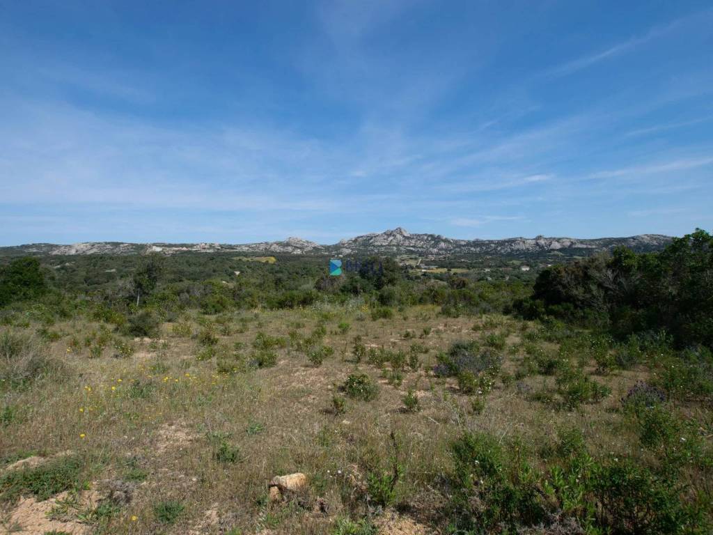 Terreno a Arzachena in SURRAU SS 125 - Foto 2
