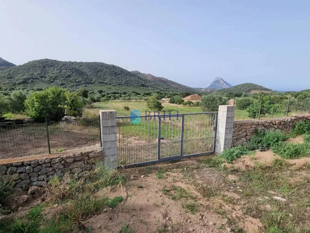 Terreno a Loiri porto san paolo in via santa giusta - Foto 3