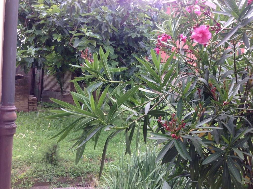 Appartamento a Faenza - Foto 4