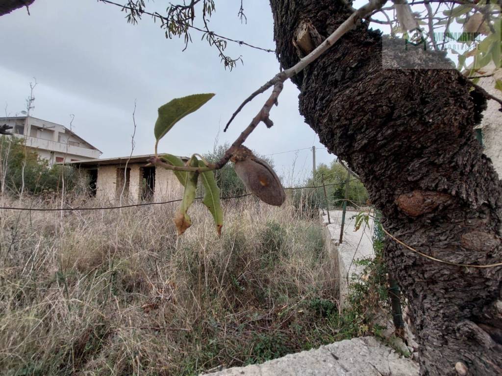 Rustico / casale a Priolo gargallo in Contrada Biggemi - Foto 5