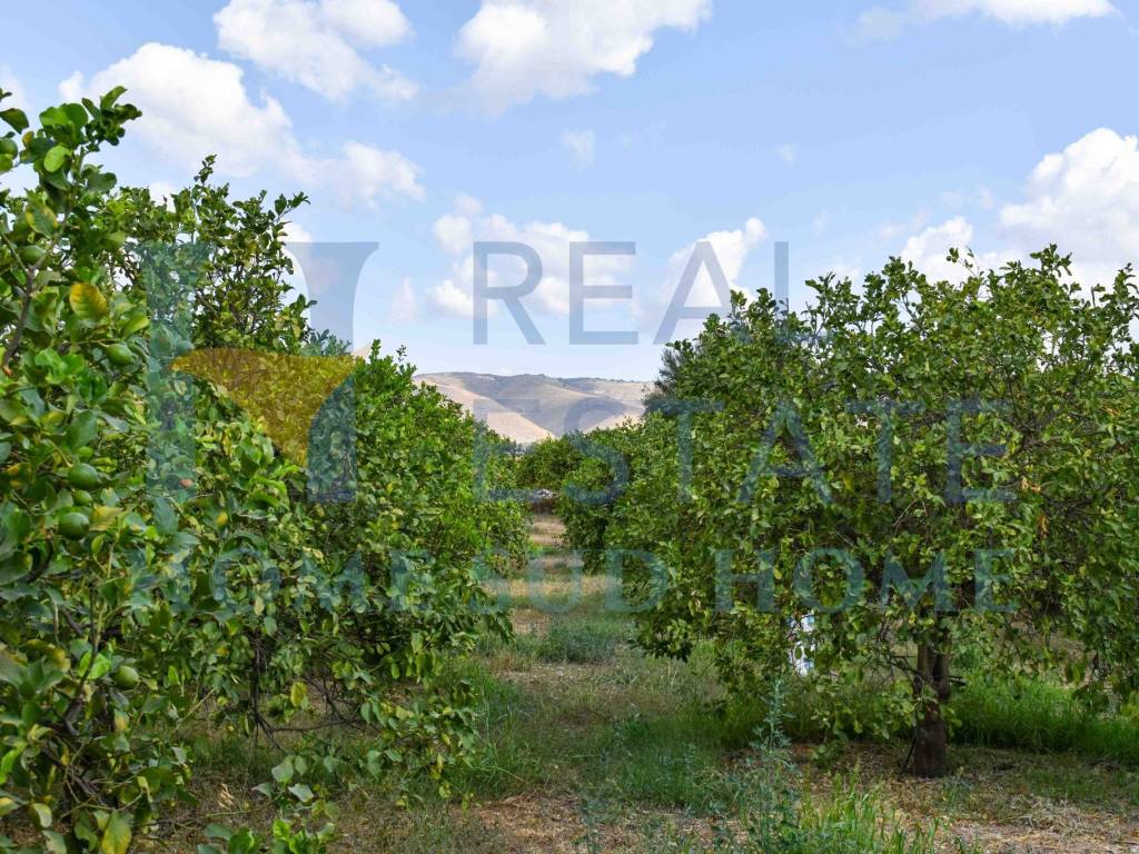 Rustico / casale a Avola in Via Roma, 1 - Foto 3