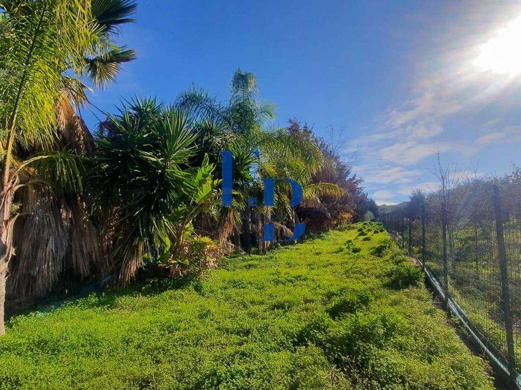 Terreno a Bagheria in Strada Comunale Torre Amalfitano - Foto 4