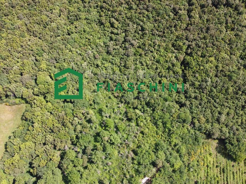 Terreno a Amelia in Strada di Luchiano - Foto 4