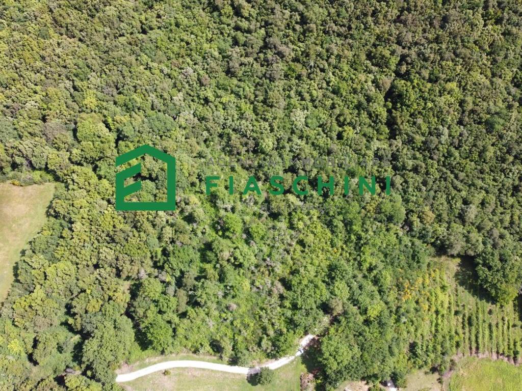 Terreno a Amelia in Strada di Luchiano - Foto 5