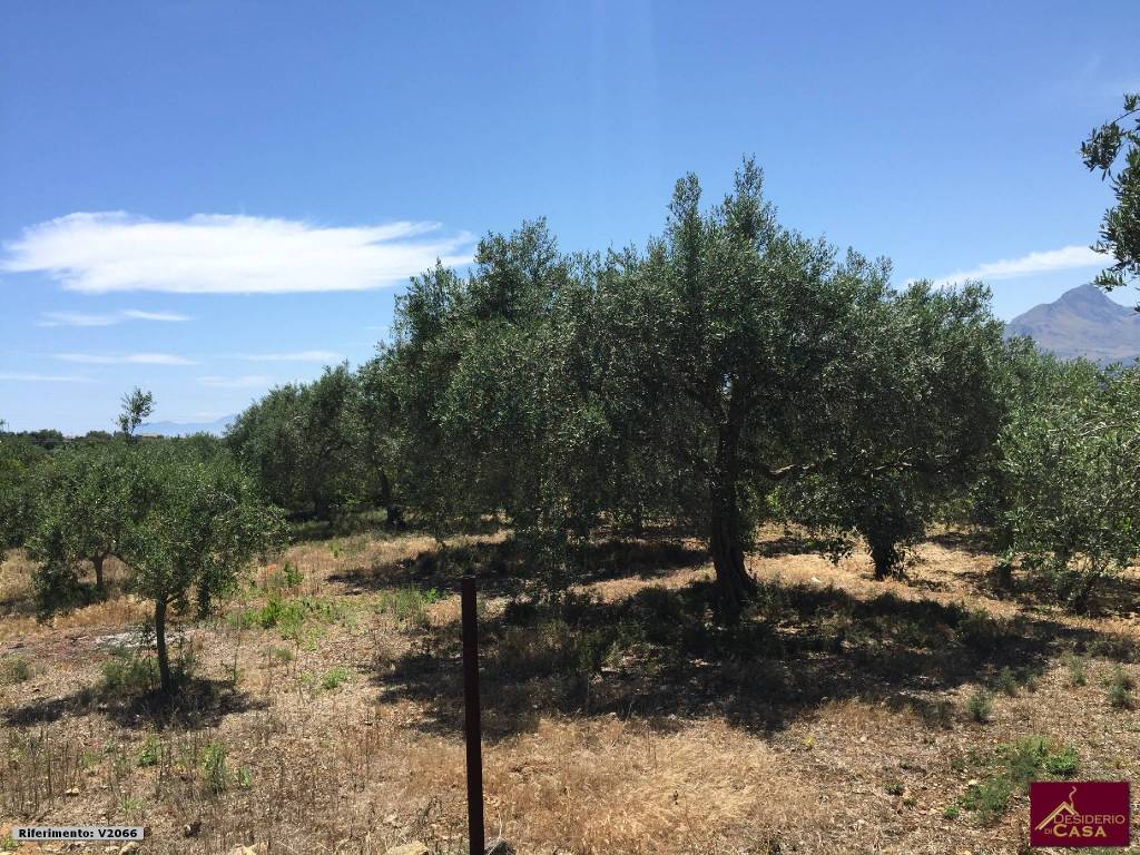 Terreno a Bagheria in Strada Provinciale 127, 39 - Foto 2
