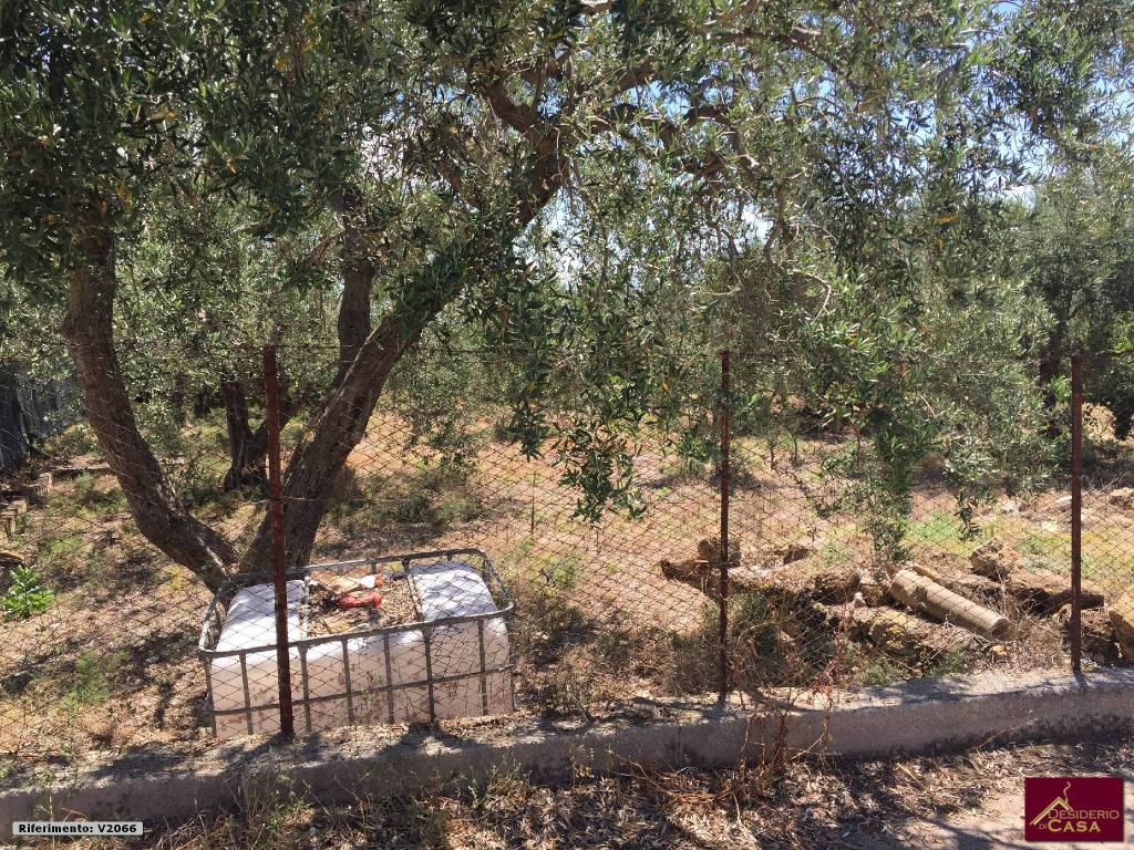 Terreno a Bagheria in Strada Provinciale 127, 39 - Foto 5