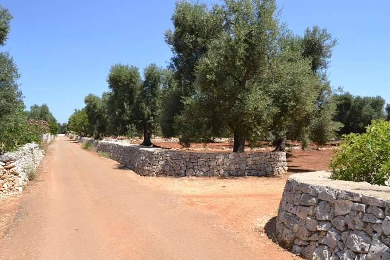 Terreno a Carovigno in Contrada Favone - Foto 2