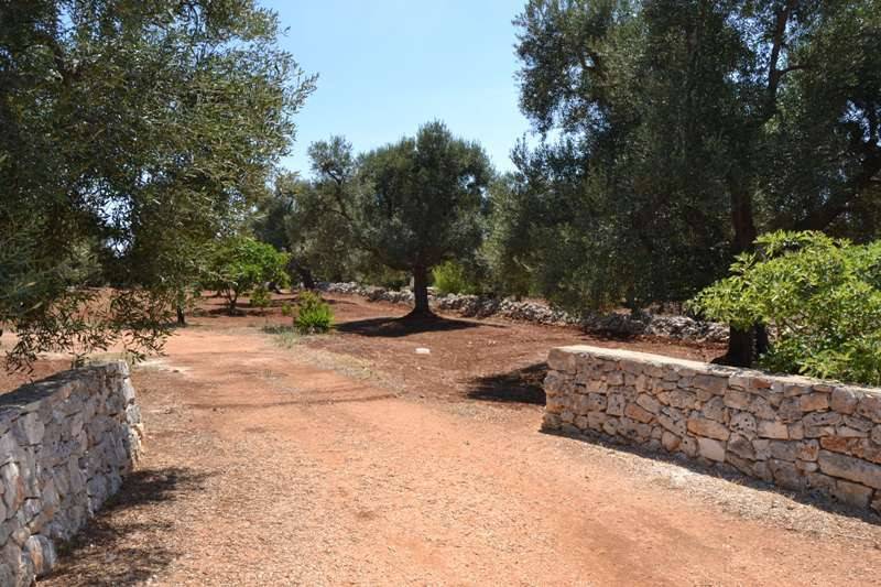 Terreno a Carovigno in Contrada Favone - Foto 4