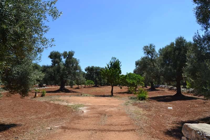 Terreno a Carovigno in Contrada Favone - Foto 5
