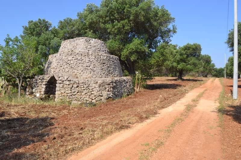 Terreno a Carovigno in Contrada San Giuseppe - Foto 2