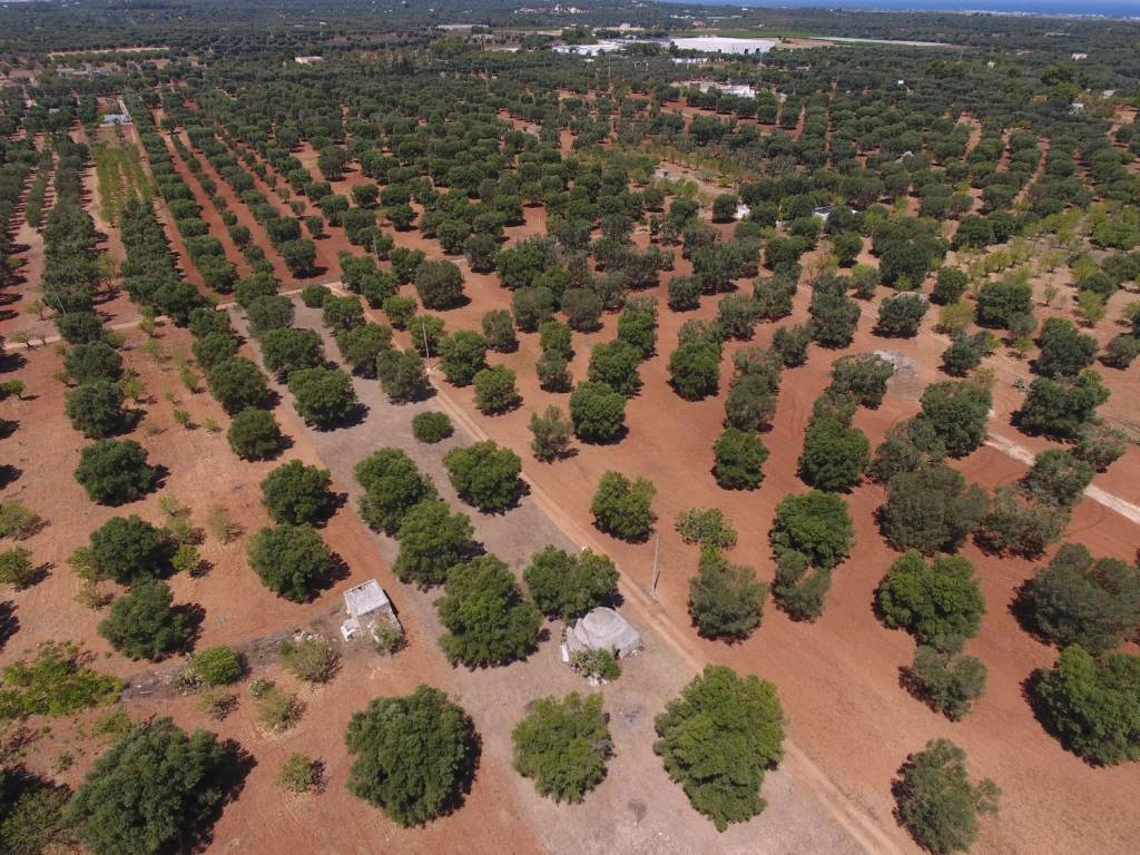 Terreno a Carovigno in Contrada San Giuseppe - Foto 3