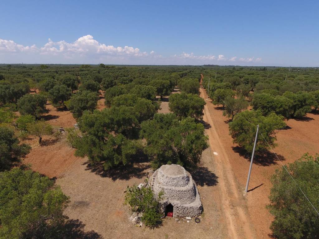 Terreno a Carovigno in Contrada San Giuseppe - Foto 5