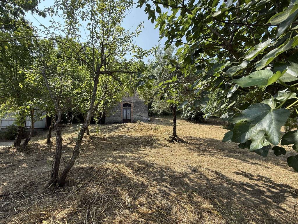 Terreno a Ceppaloni in Via Trocchia - Foto 3