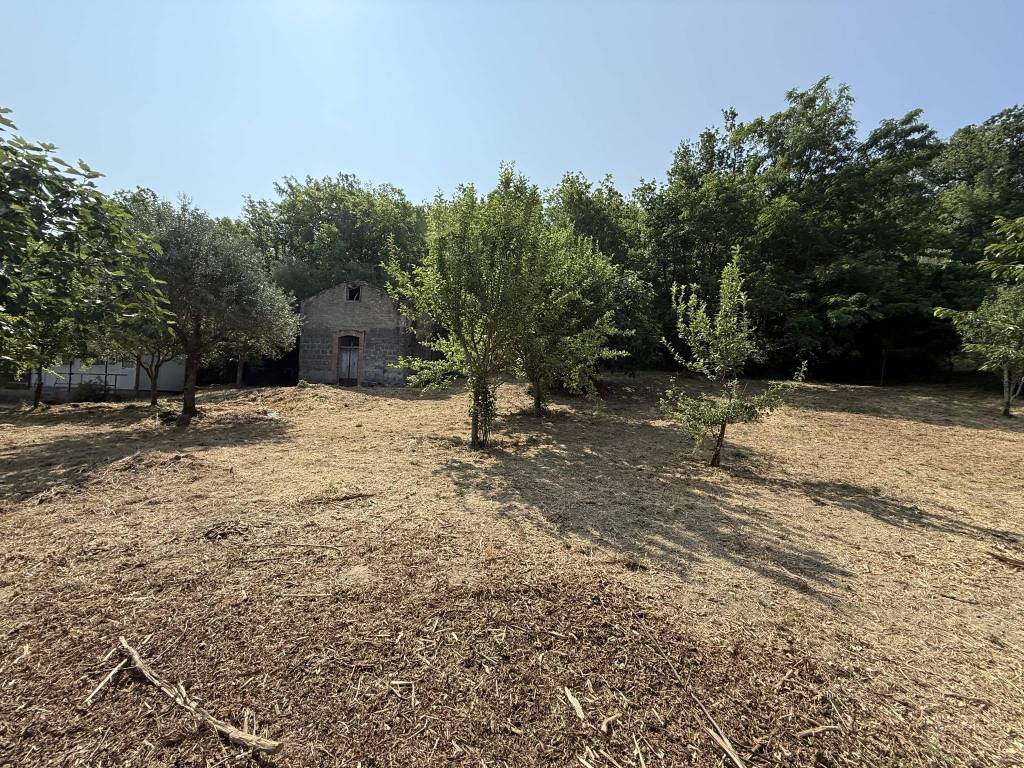 Terreno a Ceppaloni in Via Trocchia - Foto 4