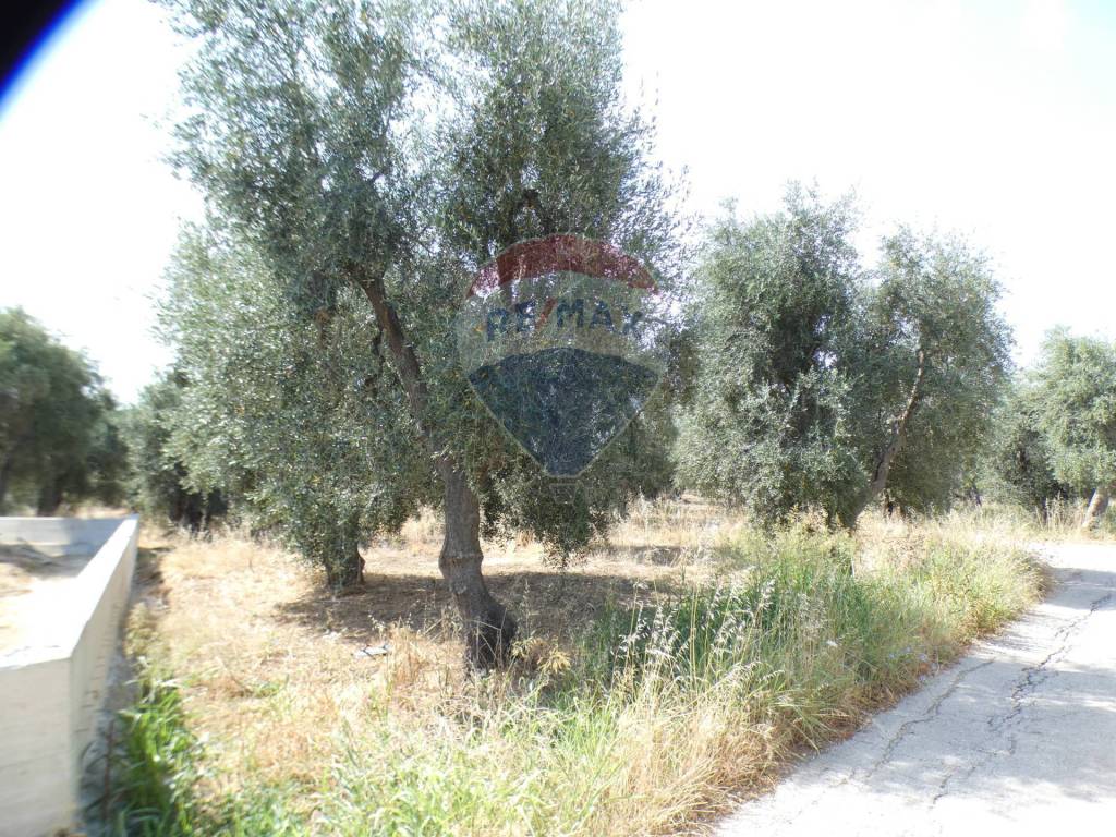 Terreno a Vieste in Macchia di Mauro - Foto 2