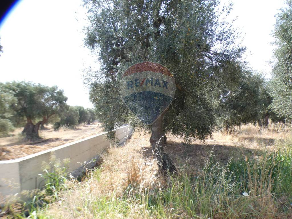 Terreno a Vieste in Macchia di Mauro - Foto 3