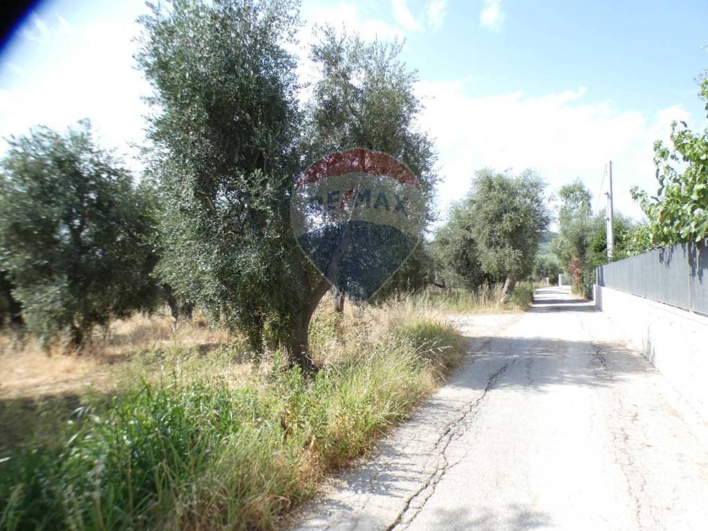 Terreno a Vieste in Macchia di Mauro - Foto 4