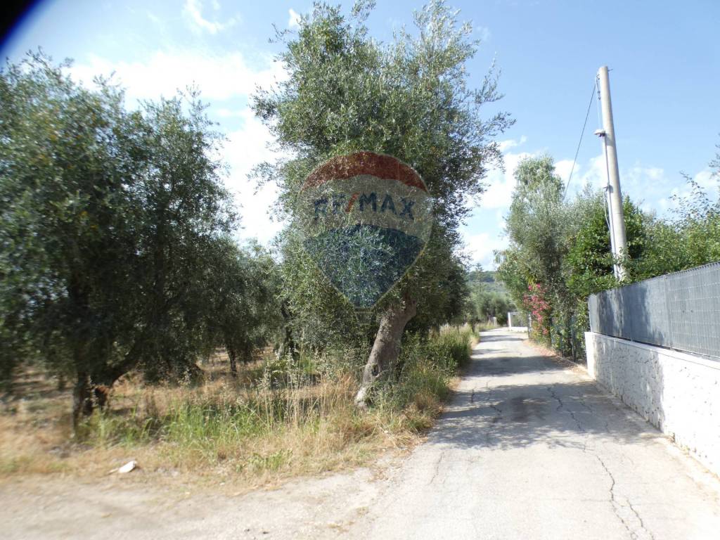 Terreno a Vieste in Macchia di Mauro - Foto 5